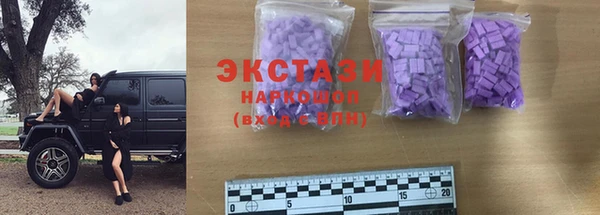 мдпв Каменка