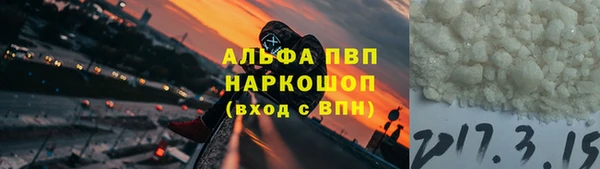 спиды Магас