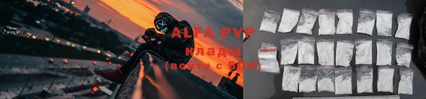 мдпв Каменка
