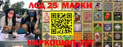 крисы Аргун