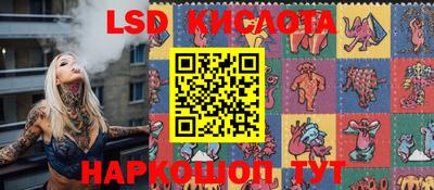 крисы Аргун