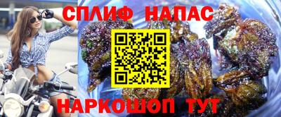 крисы Аргун