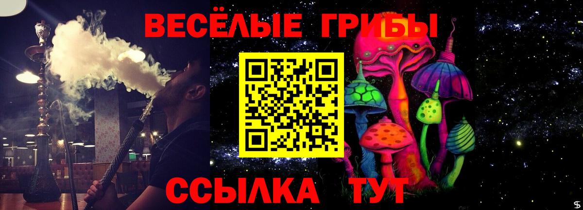 Галлюциногенные грибы Cubensis Черкесск