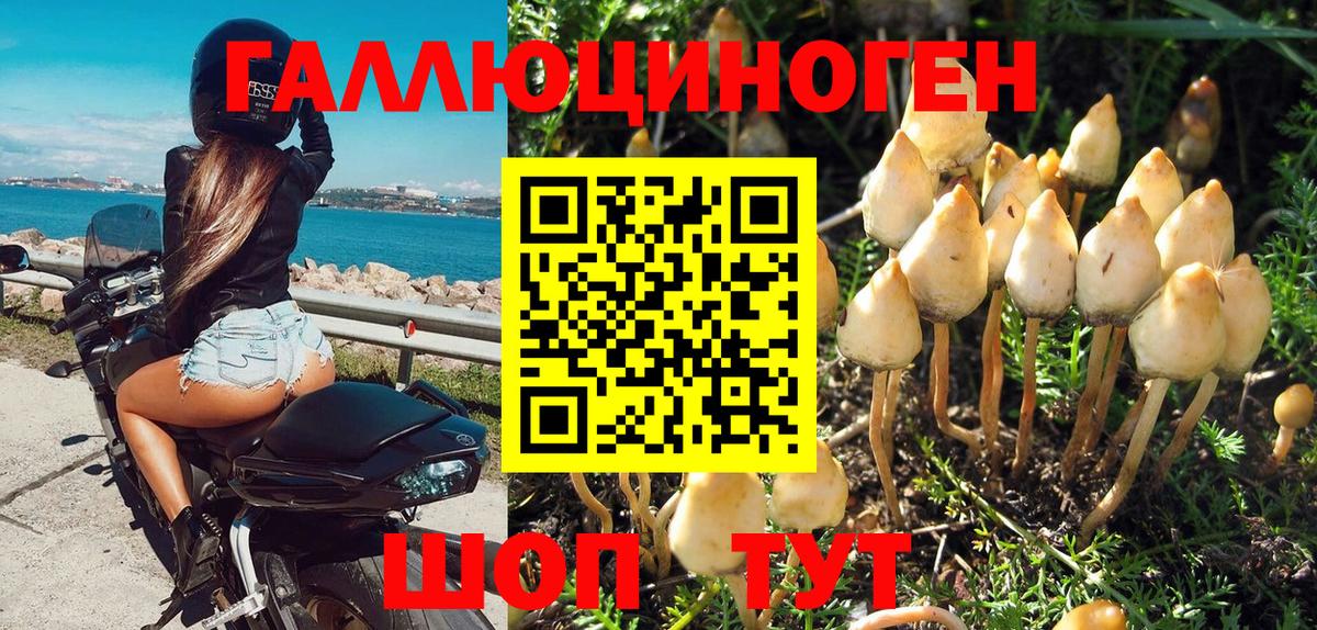 Псилоцибиновые грибы GOLDEN TEACHER  Вход с VPN  Черкесск 