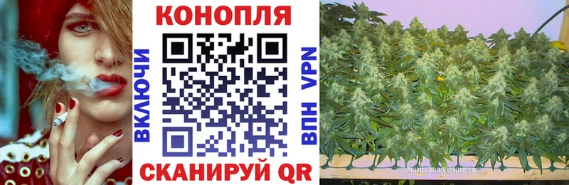 МАРИХУАНА ГИДРОПОН  где купить наркоту  мега зеркало  Черкесск 